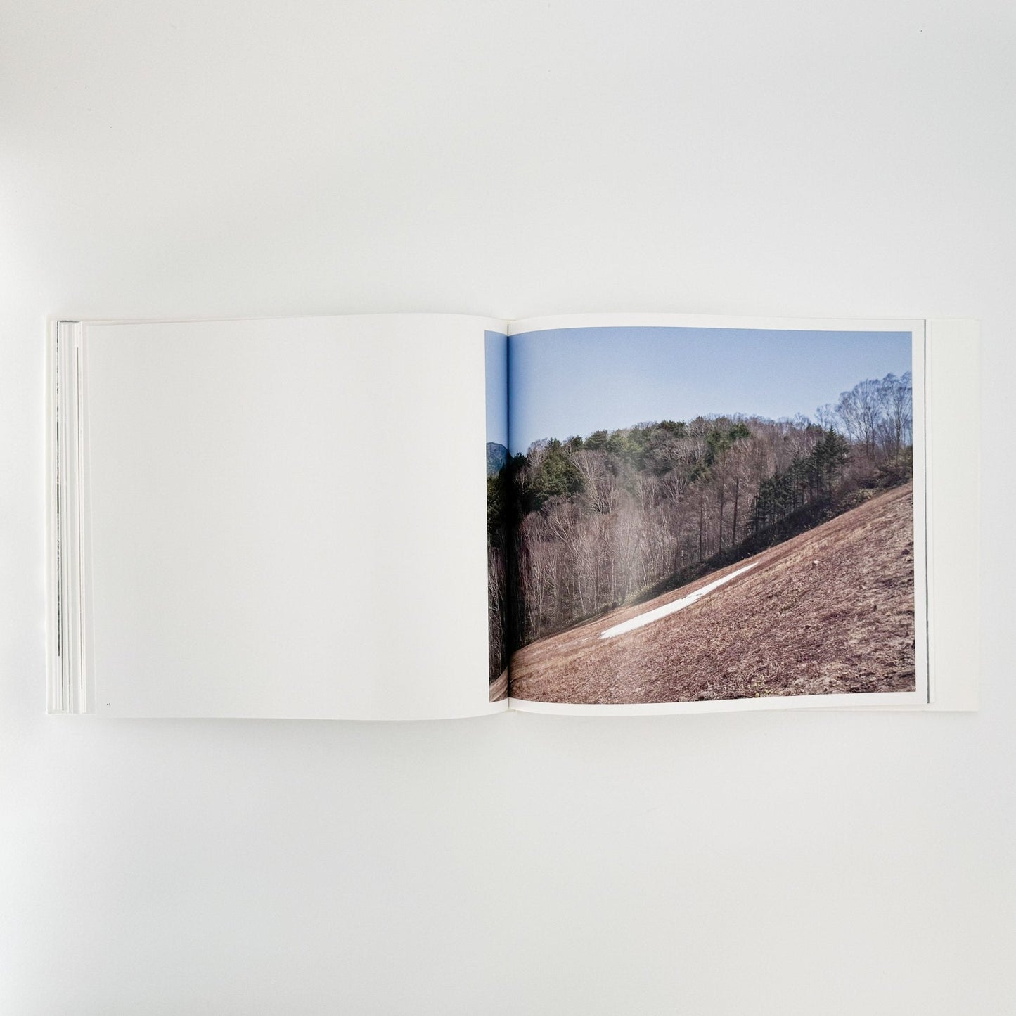 小林のりお　Cluster of Dreams - 武蔵野美術大学出版局 - 文福