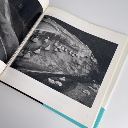 柴田敏雄　日本典型 朝日新聞社