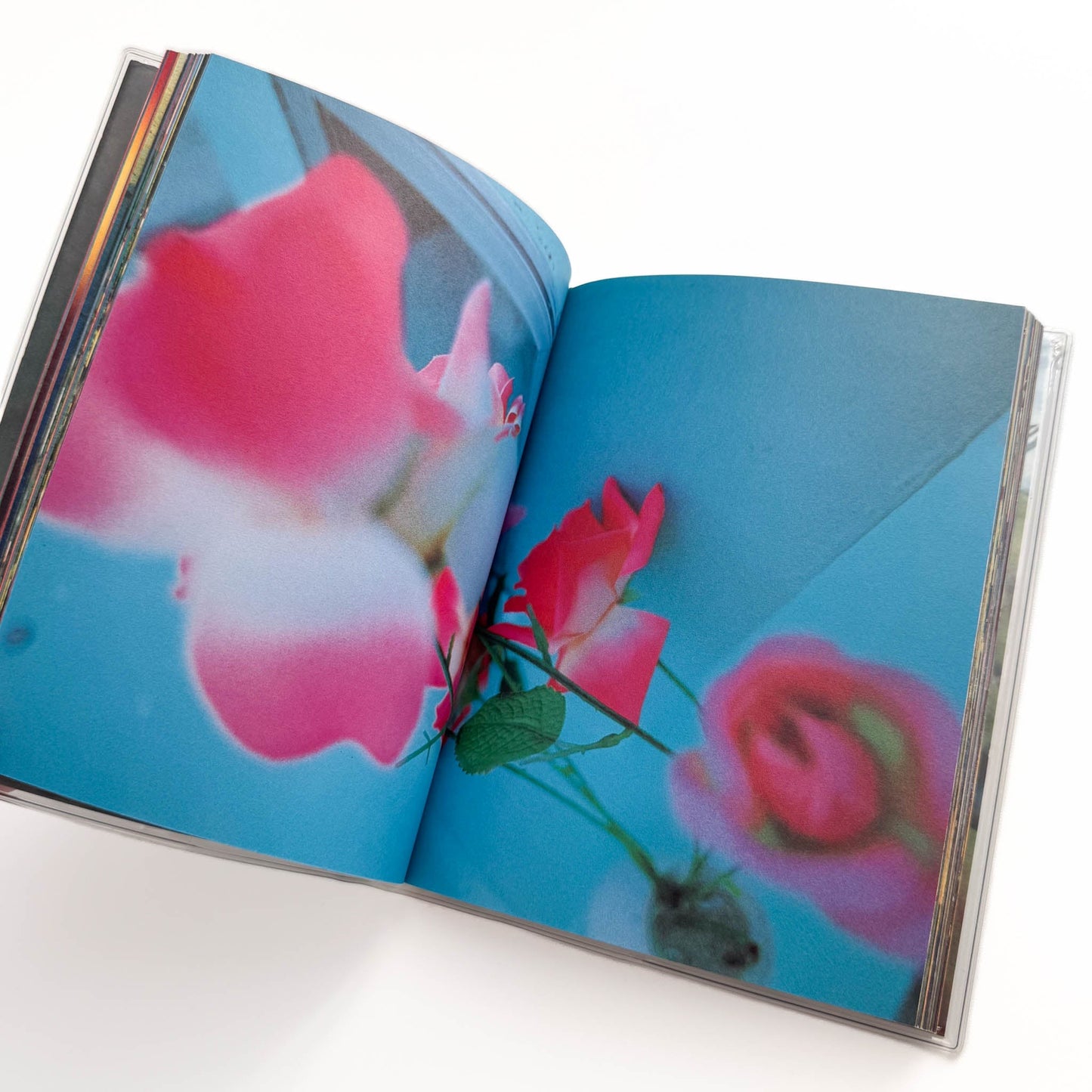 蜷川実花　Pink Rose Suite （新装版） エディション・トレヴィル