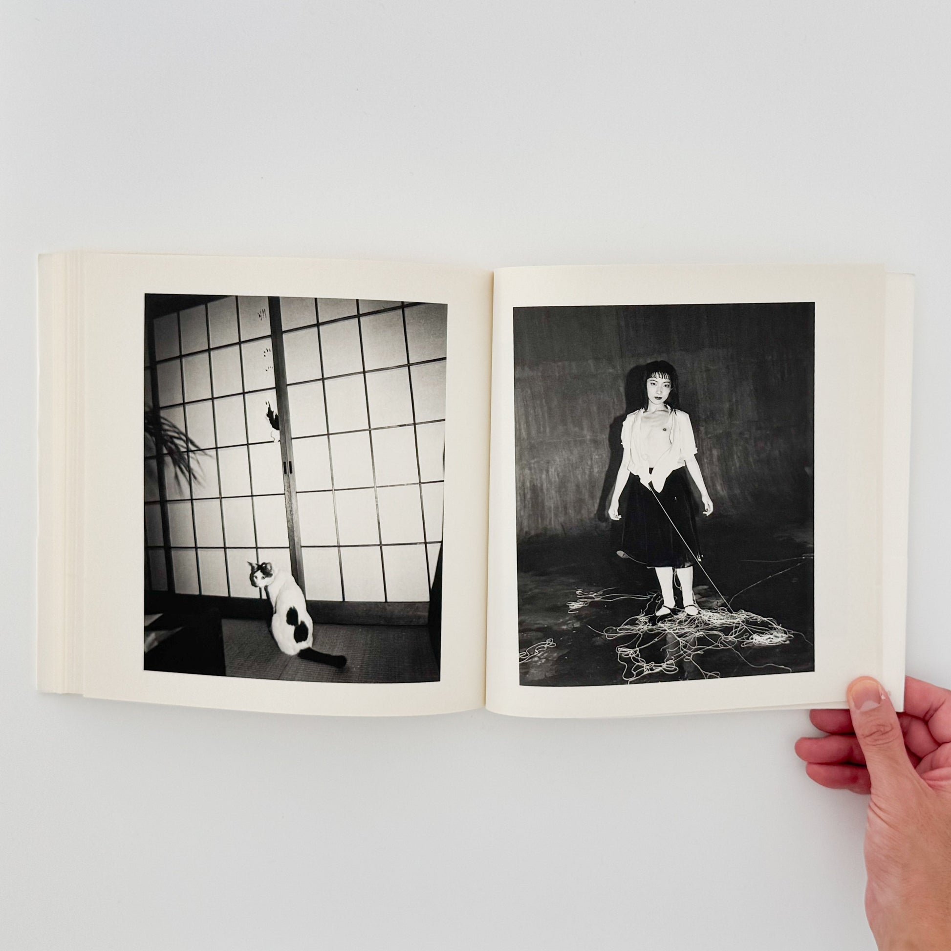 荒木経惟　私写真 朝日新聞社