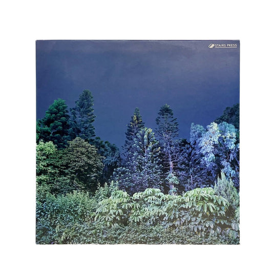 李政徳写真集　INVISIBLE WORLD - STAIRS PRESS - 文福