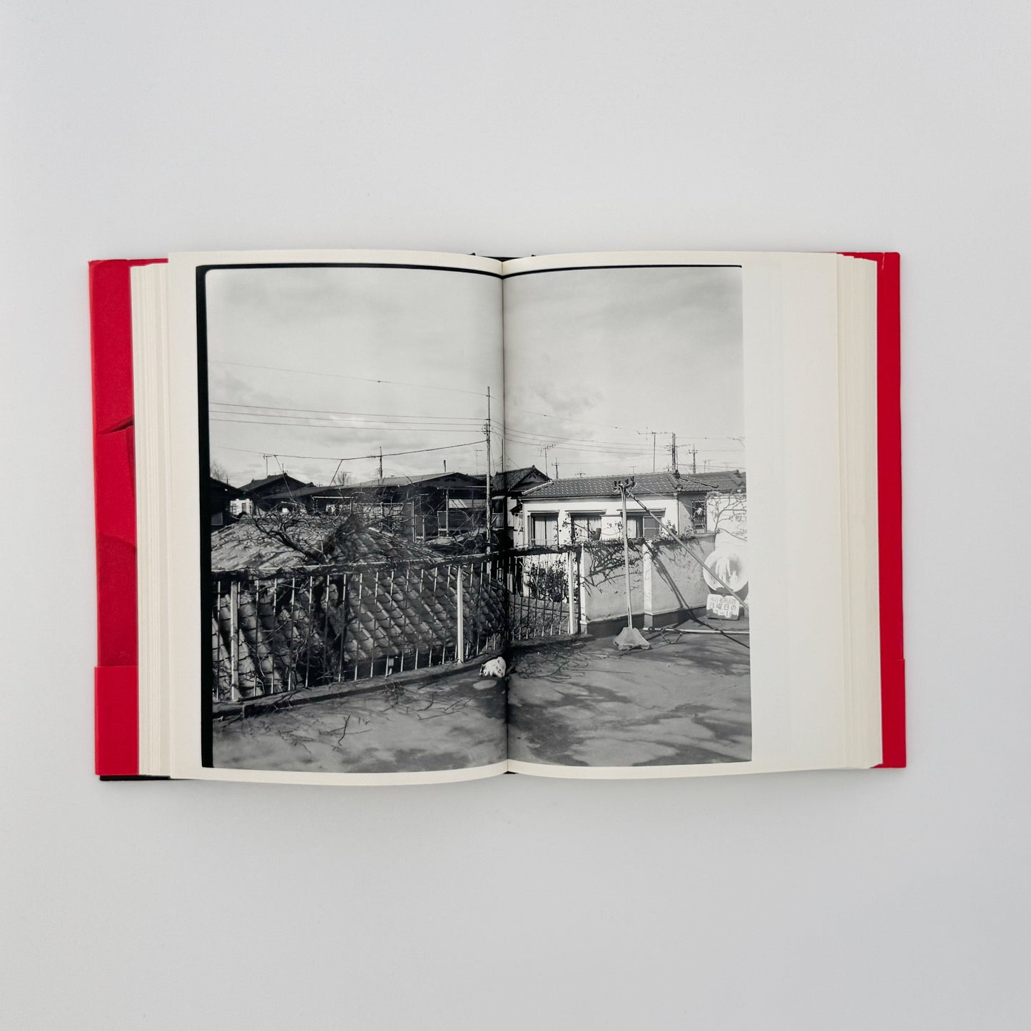 荒木経惟　写真私情主義 平凡社