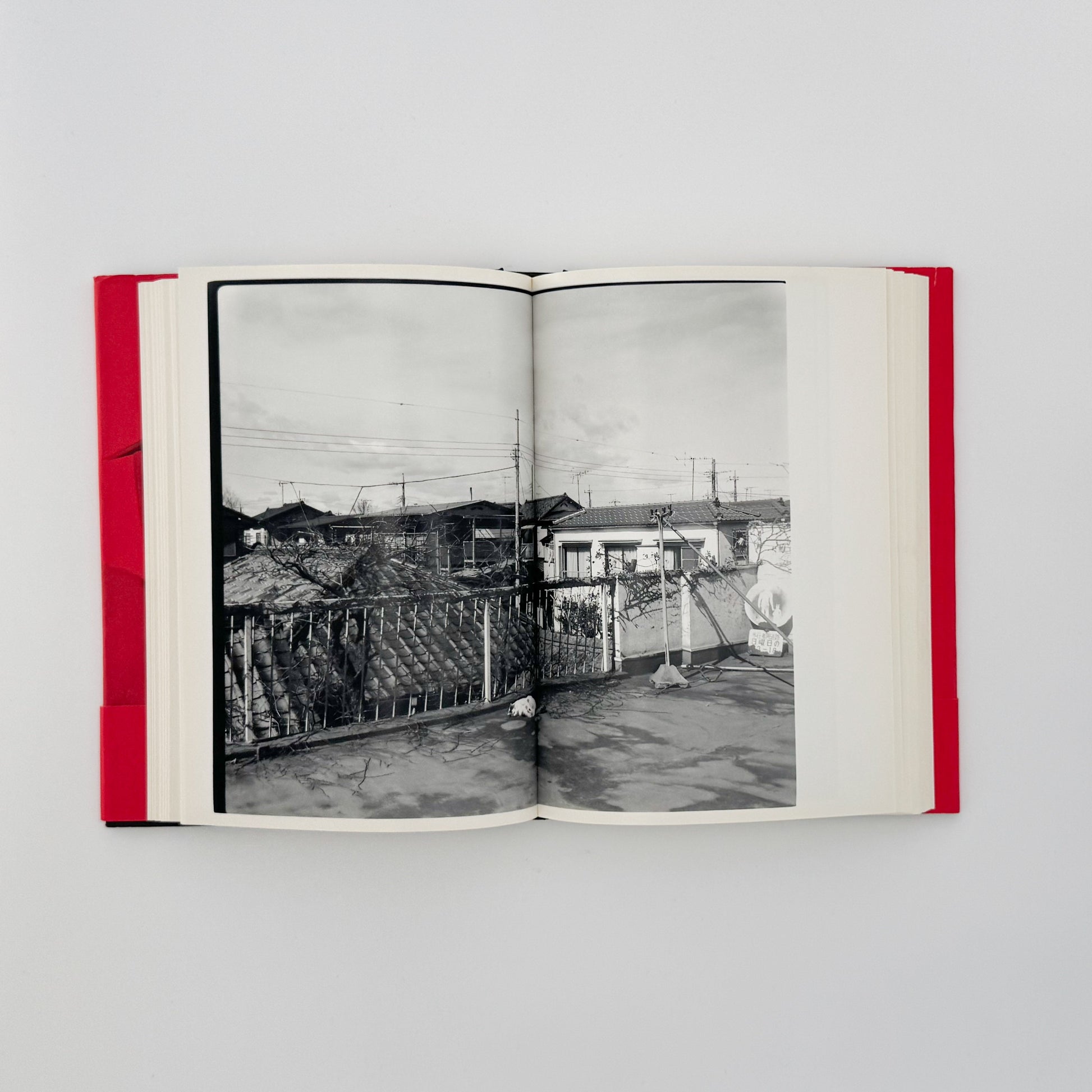 荒木経惟　写真私情主義 平凡社