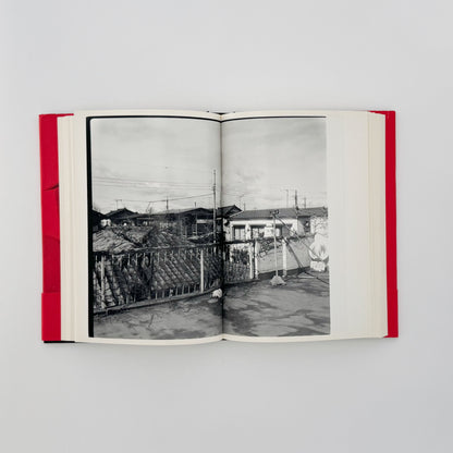 荒木経惟　写真私情主義 平凡社