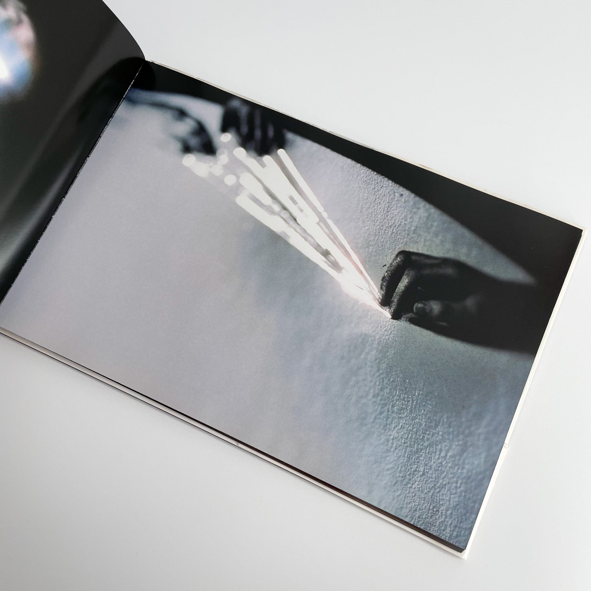 志賀理江子写真集 Lieko Shiga: Lilly / アートビートパブリッシャーズ