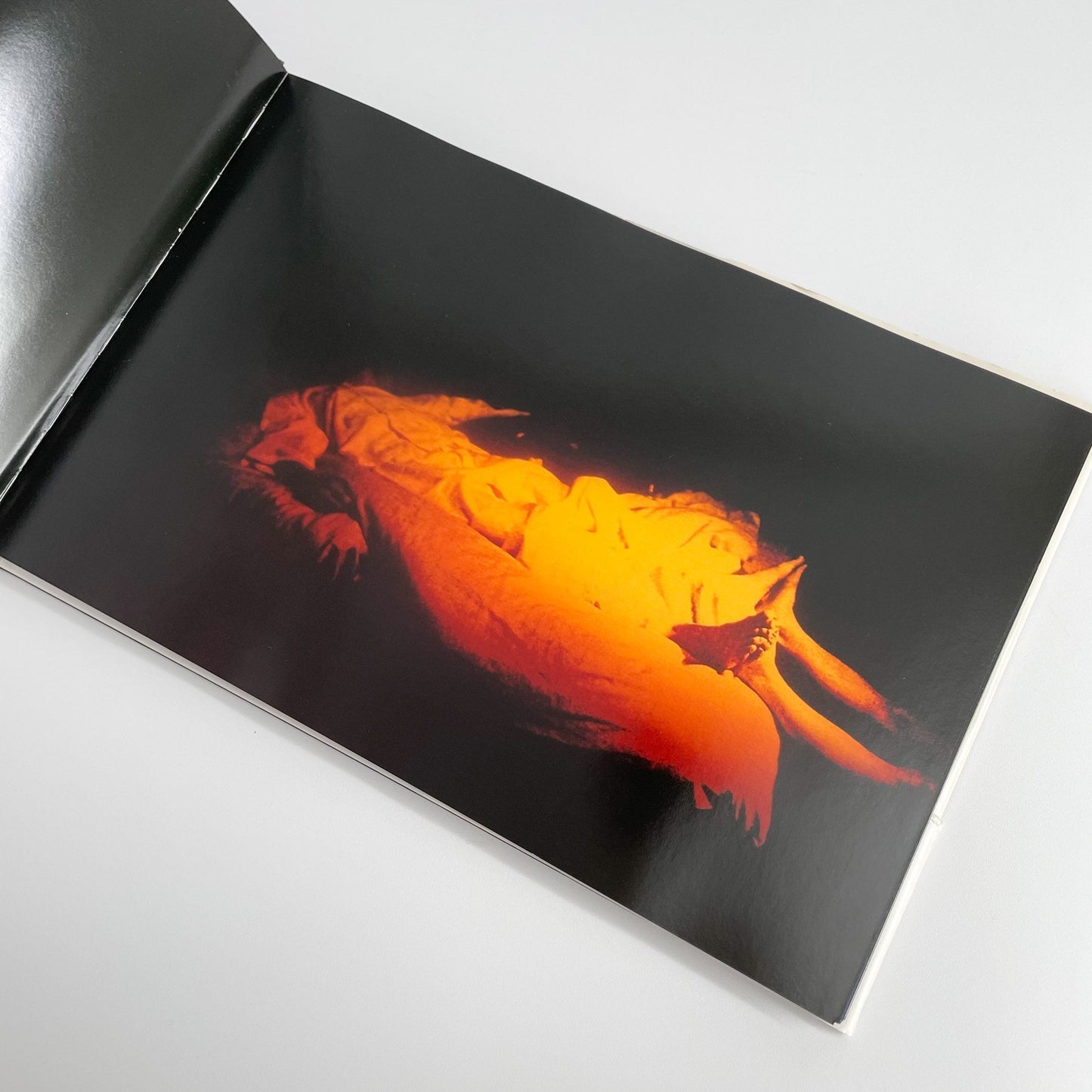 志賀理江子　Lilly - アートビートパブリッシャーズ - 文福