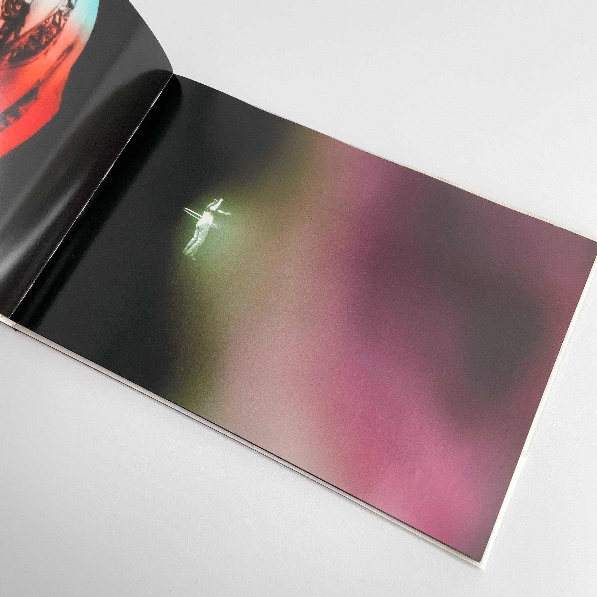 志賀理江子　Lilly - アートビートパブリッシャーズ - 文福