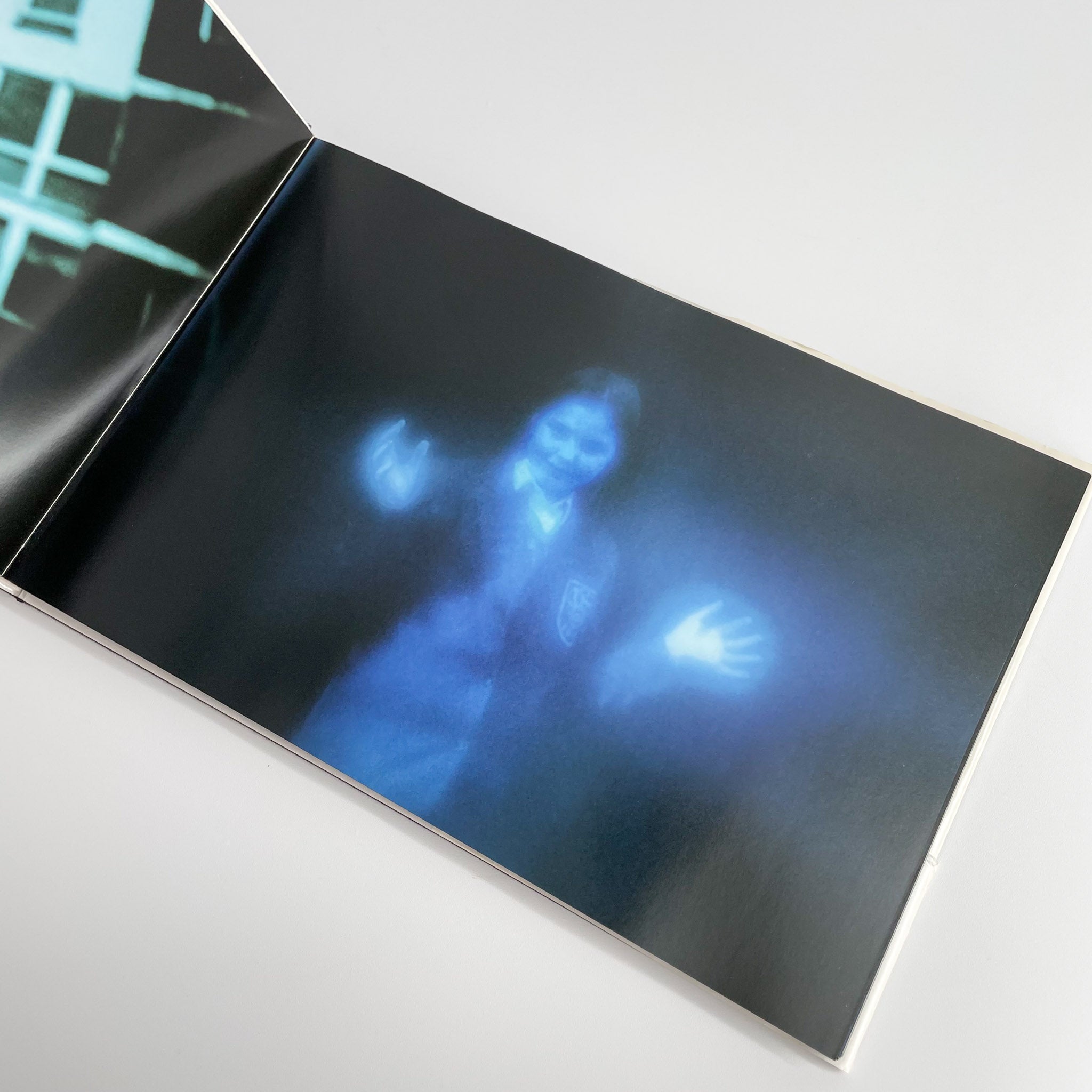 志賀理江子写真集 Lieko Shiga: Lilly / アートビートパブリッシャーズ