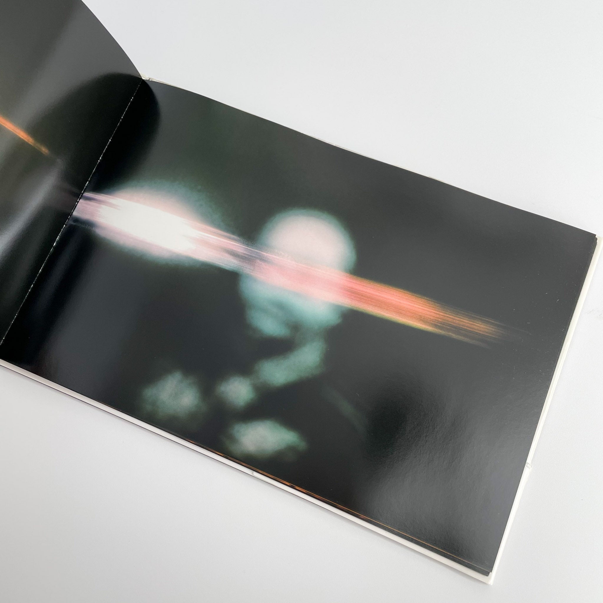 志賀理江子写真集 Lieko Shiga: Lilly / アートビートパブリッシャーズ
