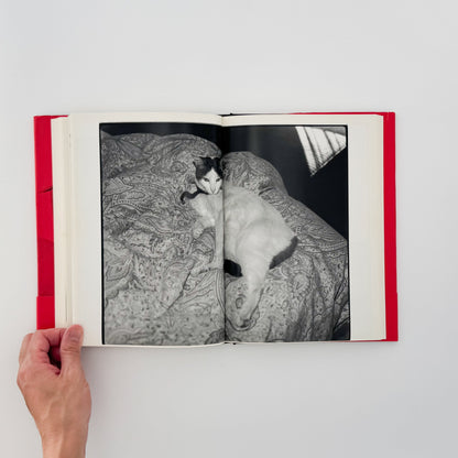 荒木経惟　写真私情主義 平凡社