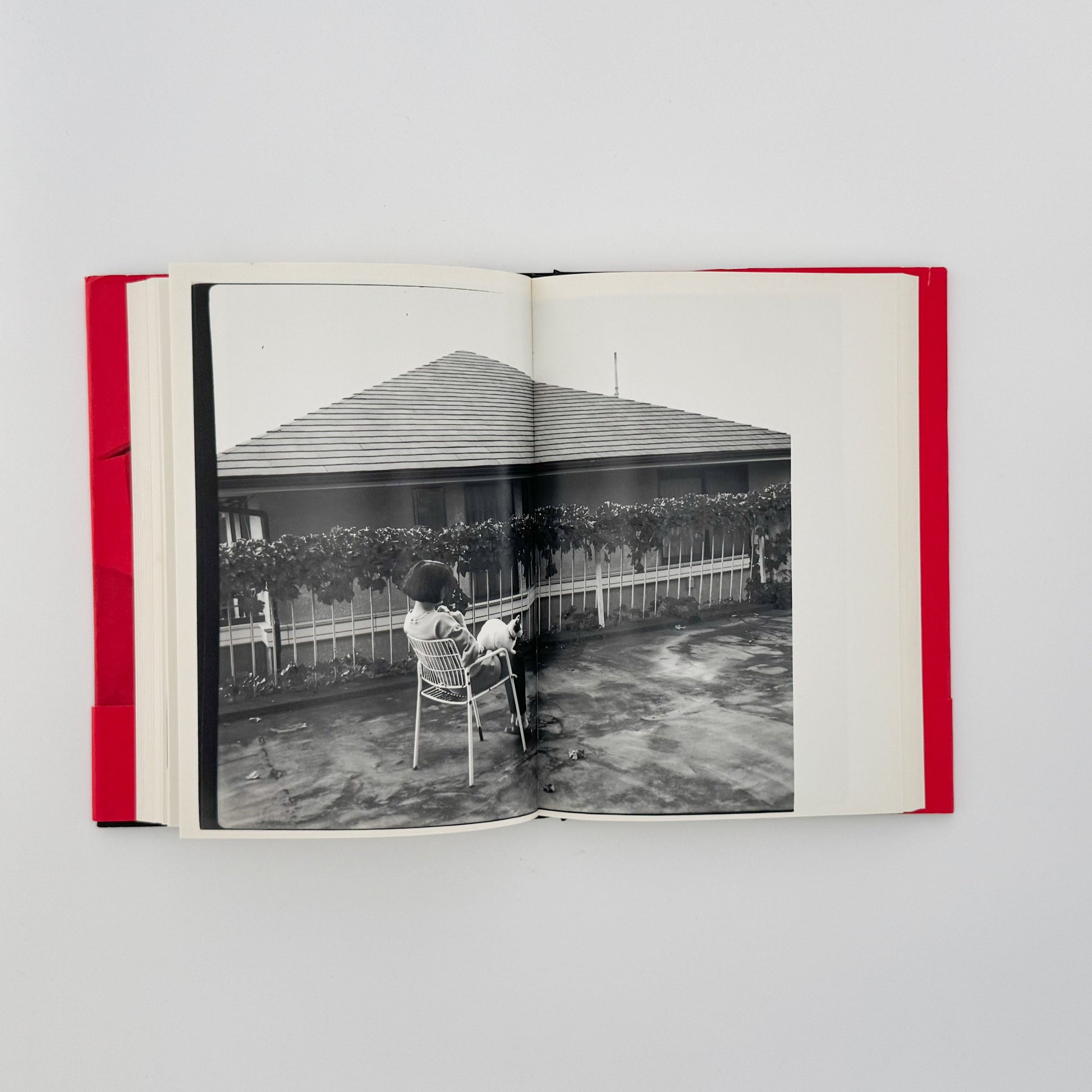 荒木経惟　写真私情主義 平凡社