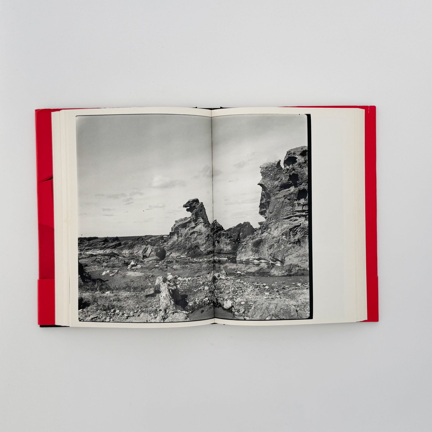 荒木経惟　写真私情主義 平凡社