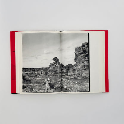 荒木経惟　写真私情主義 平凡社