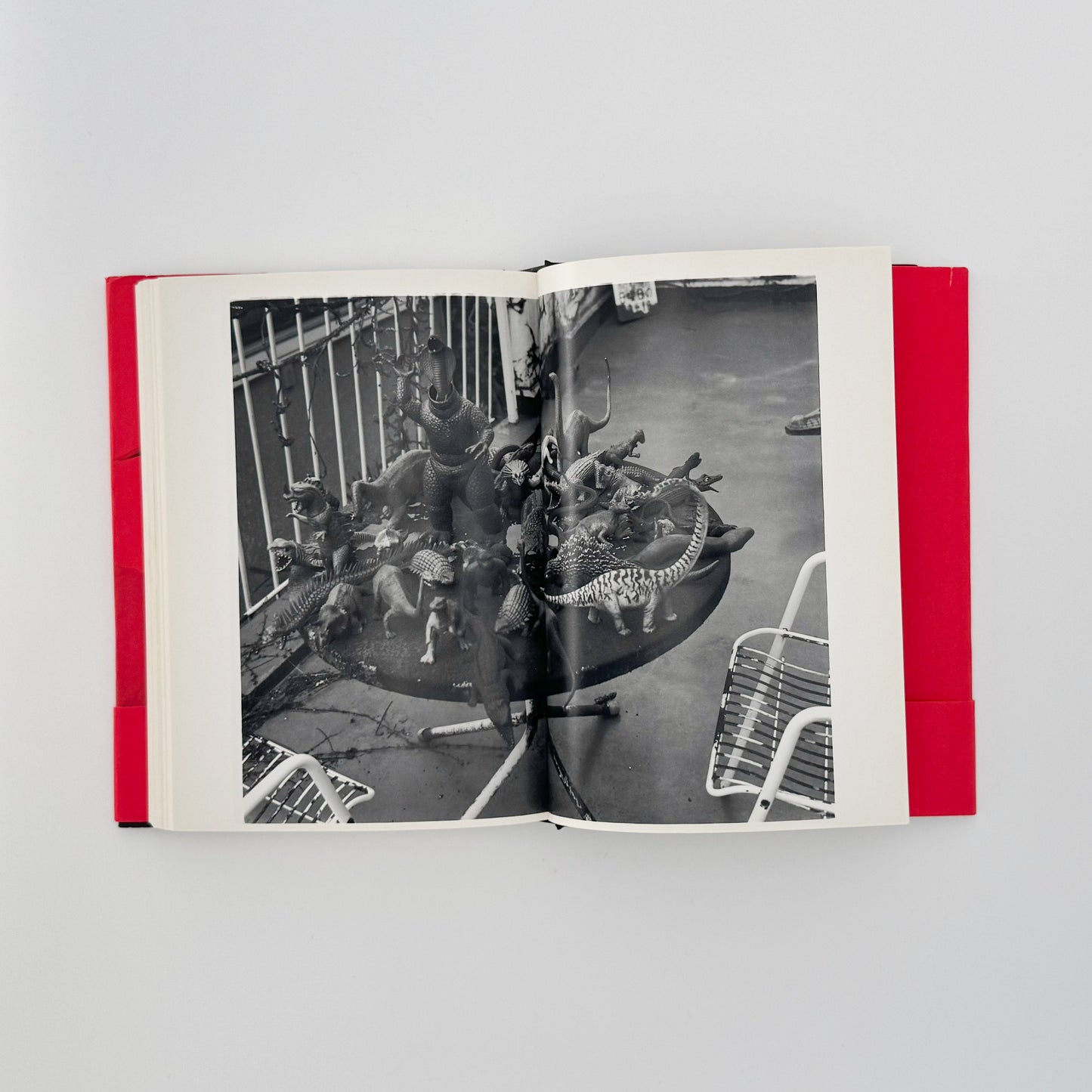 荒木経惟　写真私情主義 平凡社