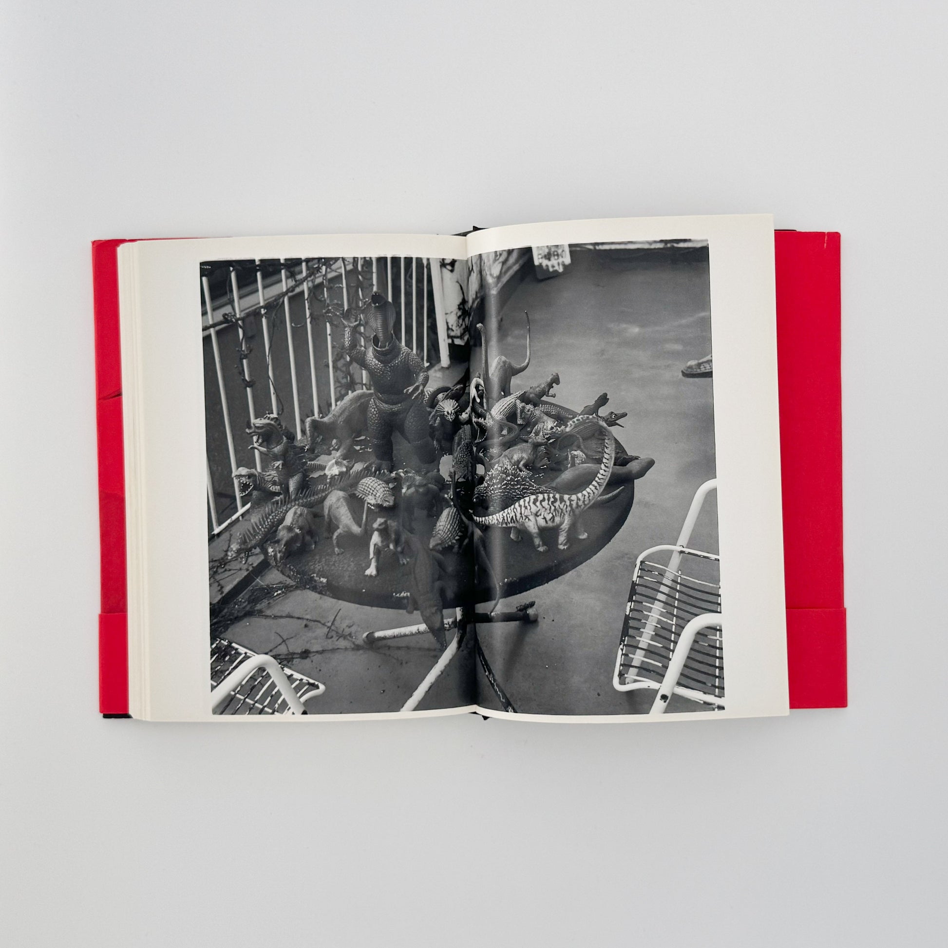 荒木経惟　写真私情主義 平凡社