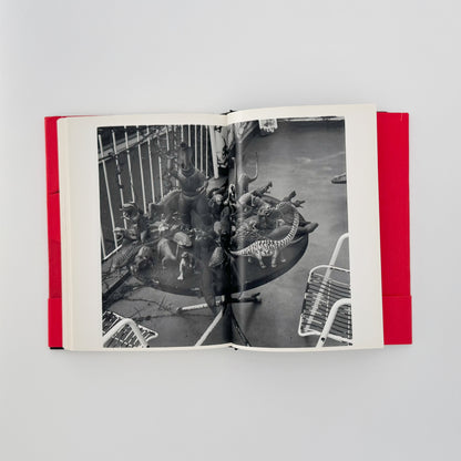 荒木経惟　写真私情主義 平凡社