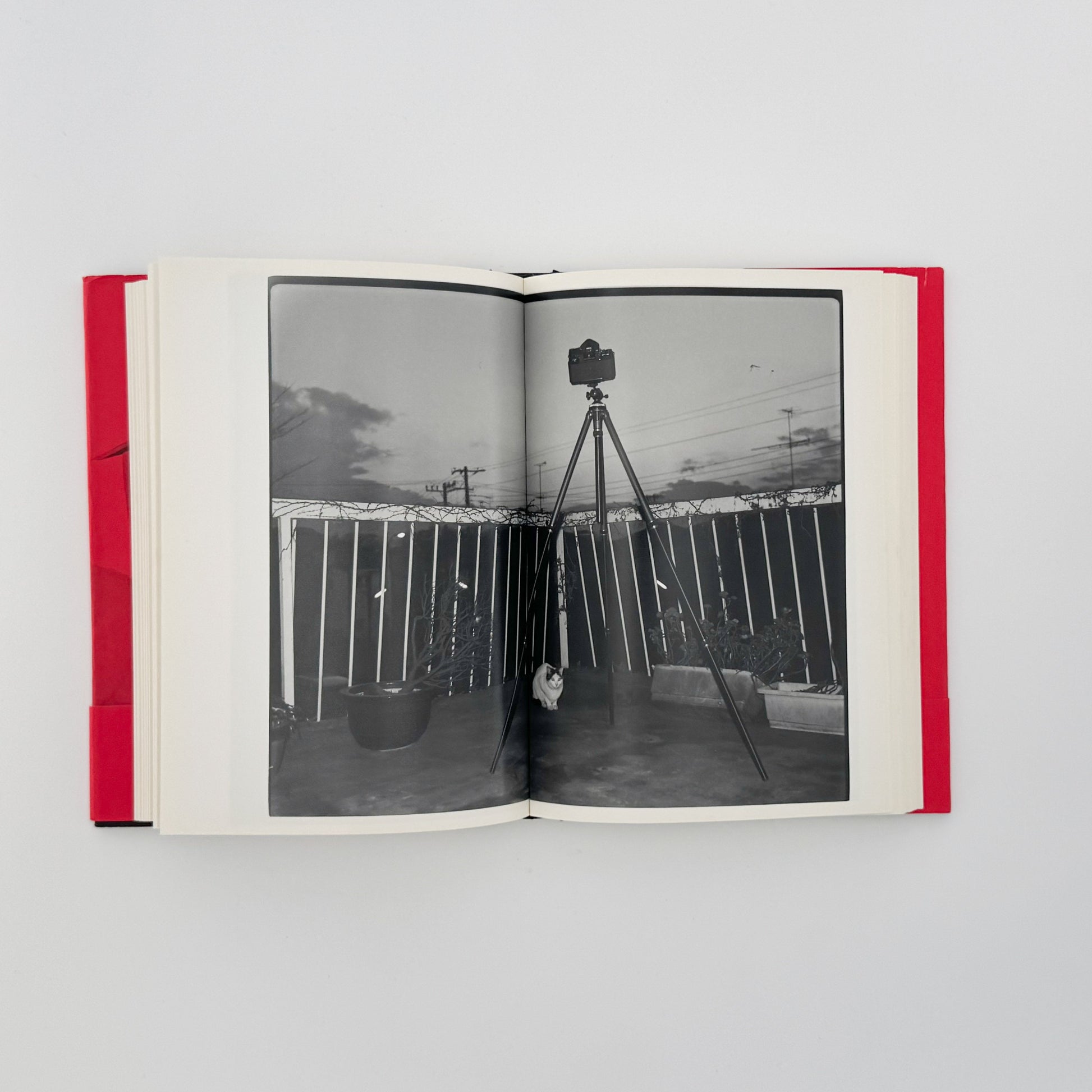 荒木経惟　写真私情主義 平凡社