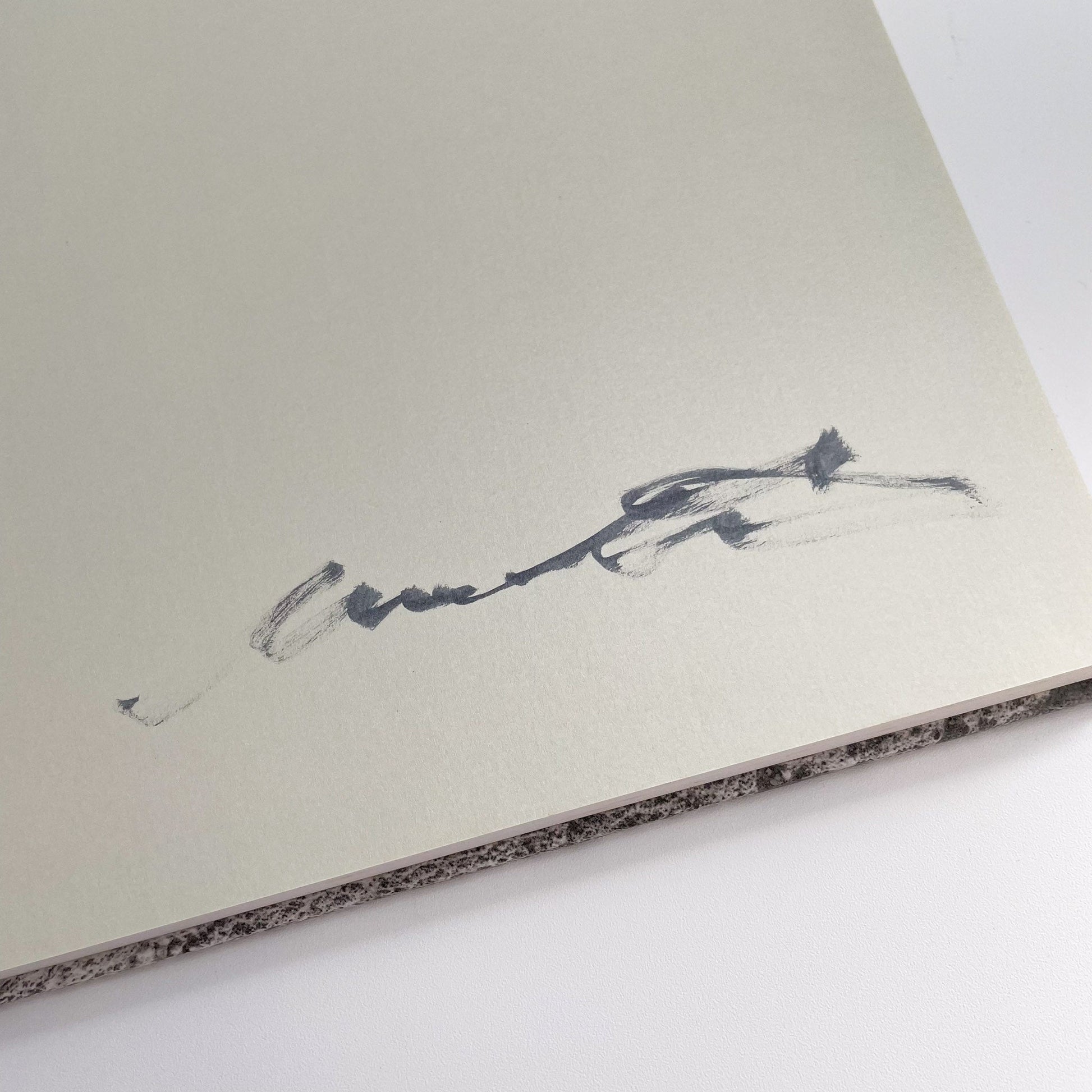 松江泰治　Hysteric 松江泰治（サイン入り） ヒステリックグラマー