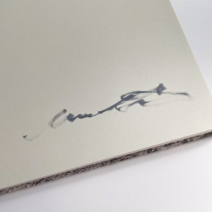 松江泰治　Hysteric 松江泰治（サイン入り） ヒステリックグラマー