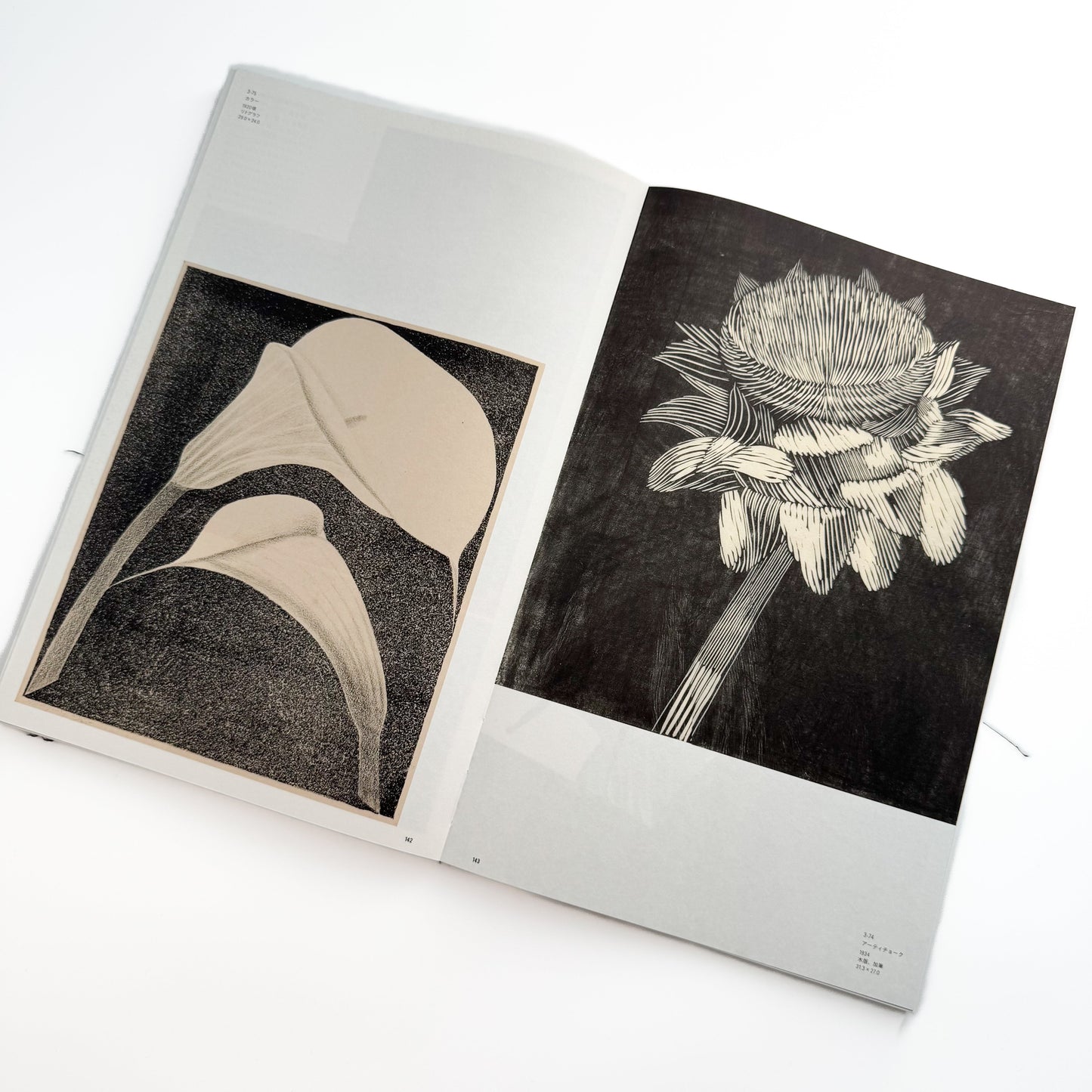 メスキータ展 キュレイターズ