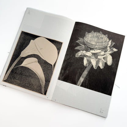 メスキータ展 キュレイターズ