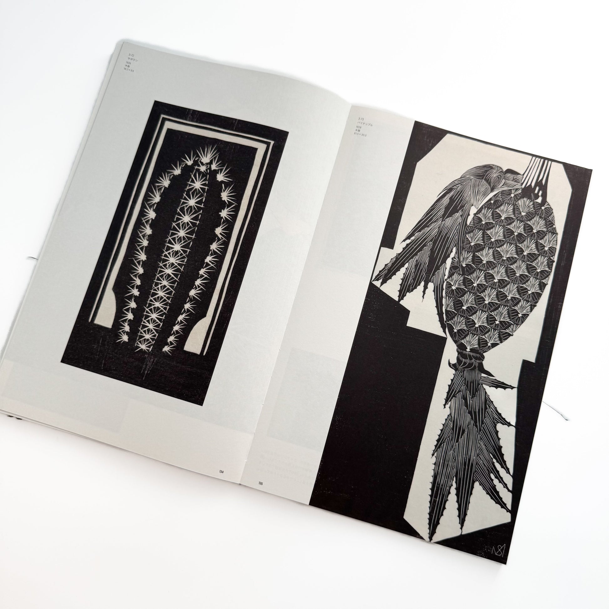 メスキータ展 キュレイターズ