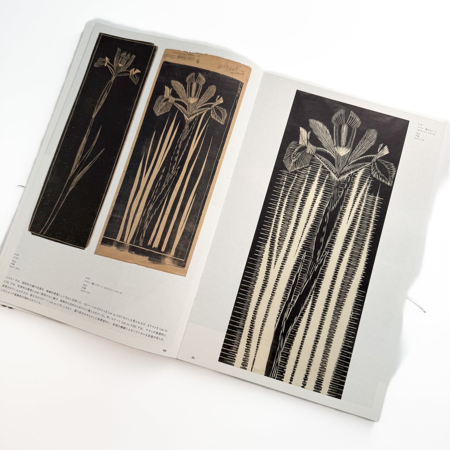 メスキータ展 キュレイターズ