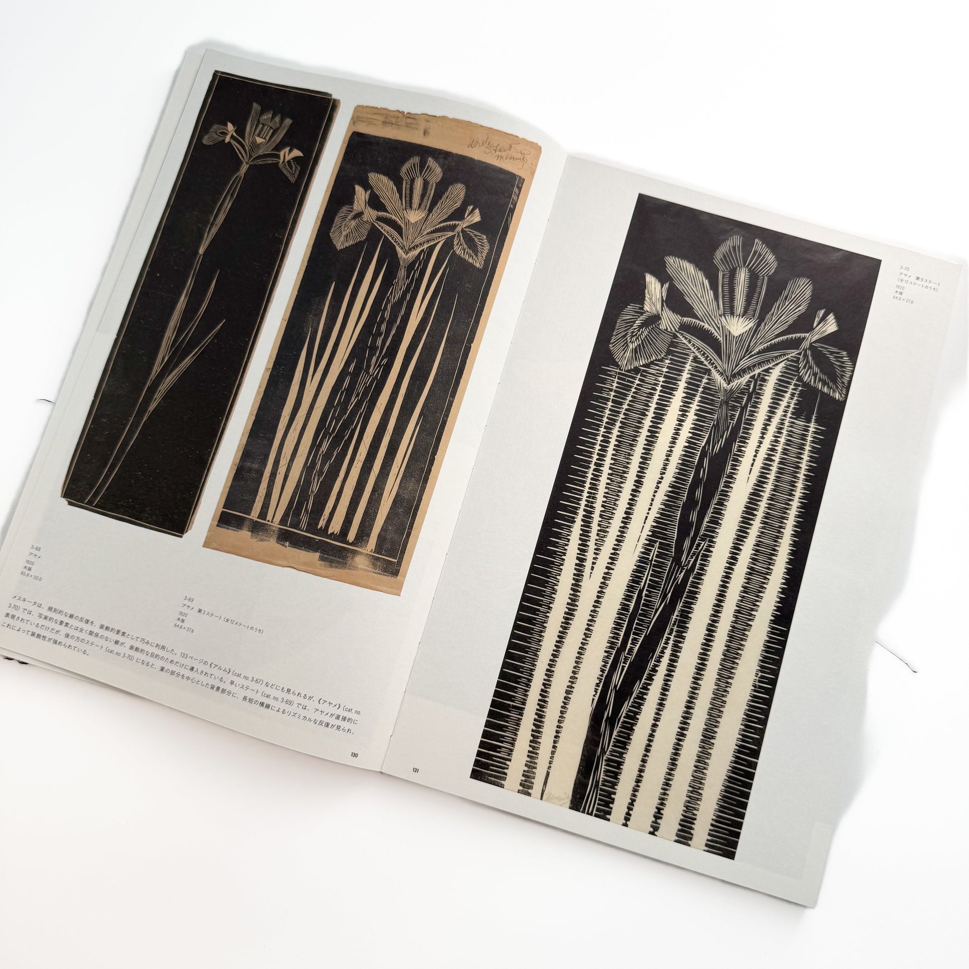 メスキータ展 キュレイターズ