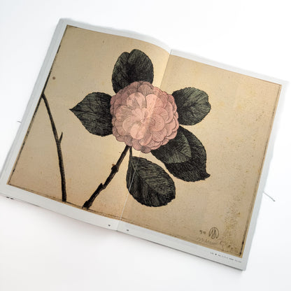 メスキータ展 キュレイターズ