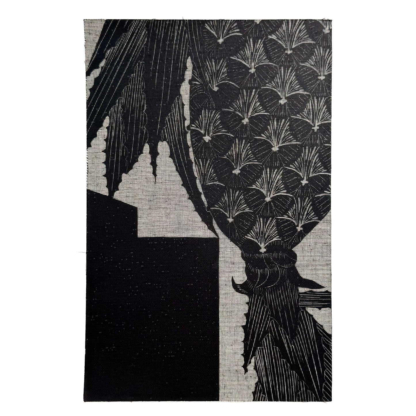 メスキータ展 キュレイターズ