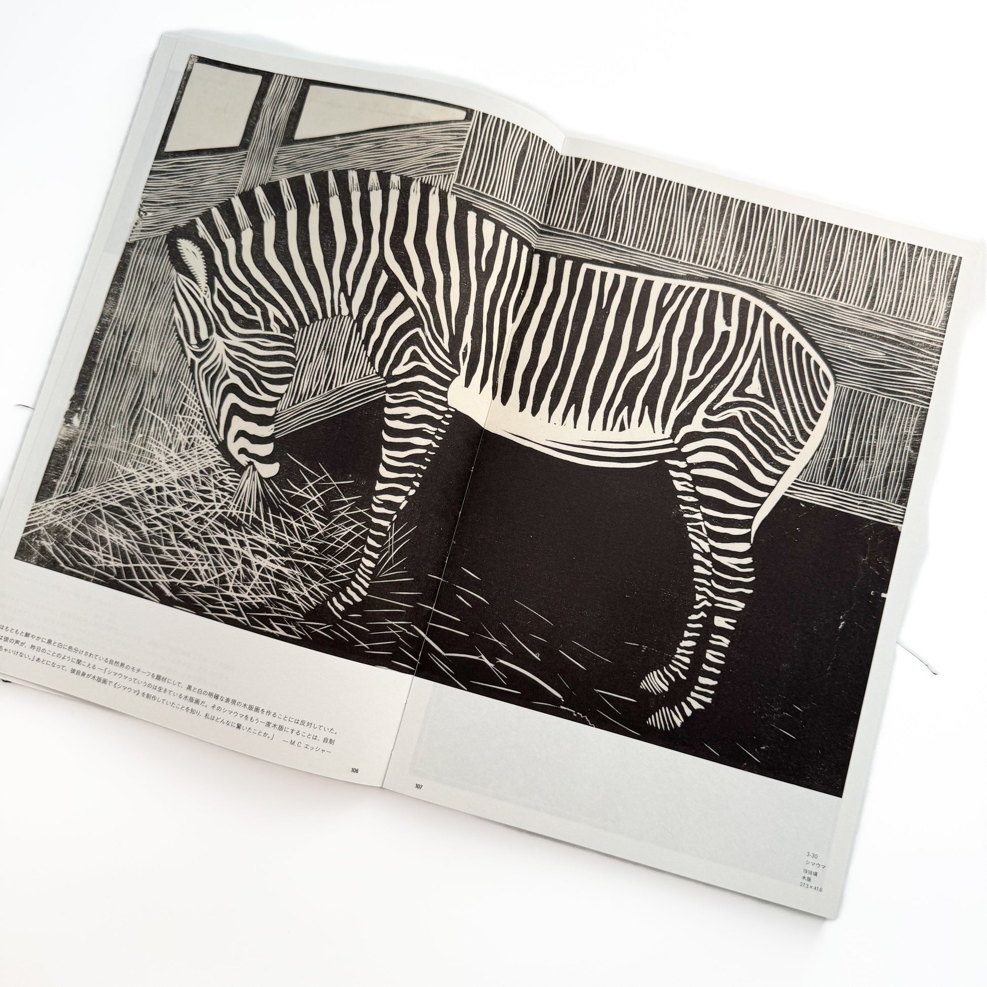 メスキータ展 キュレイターズ