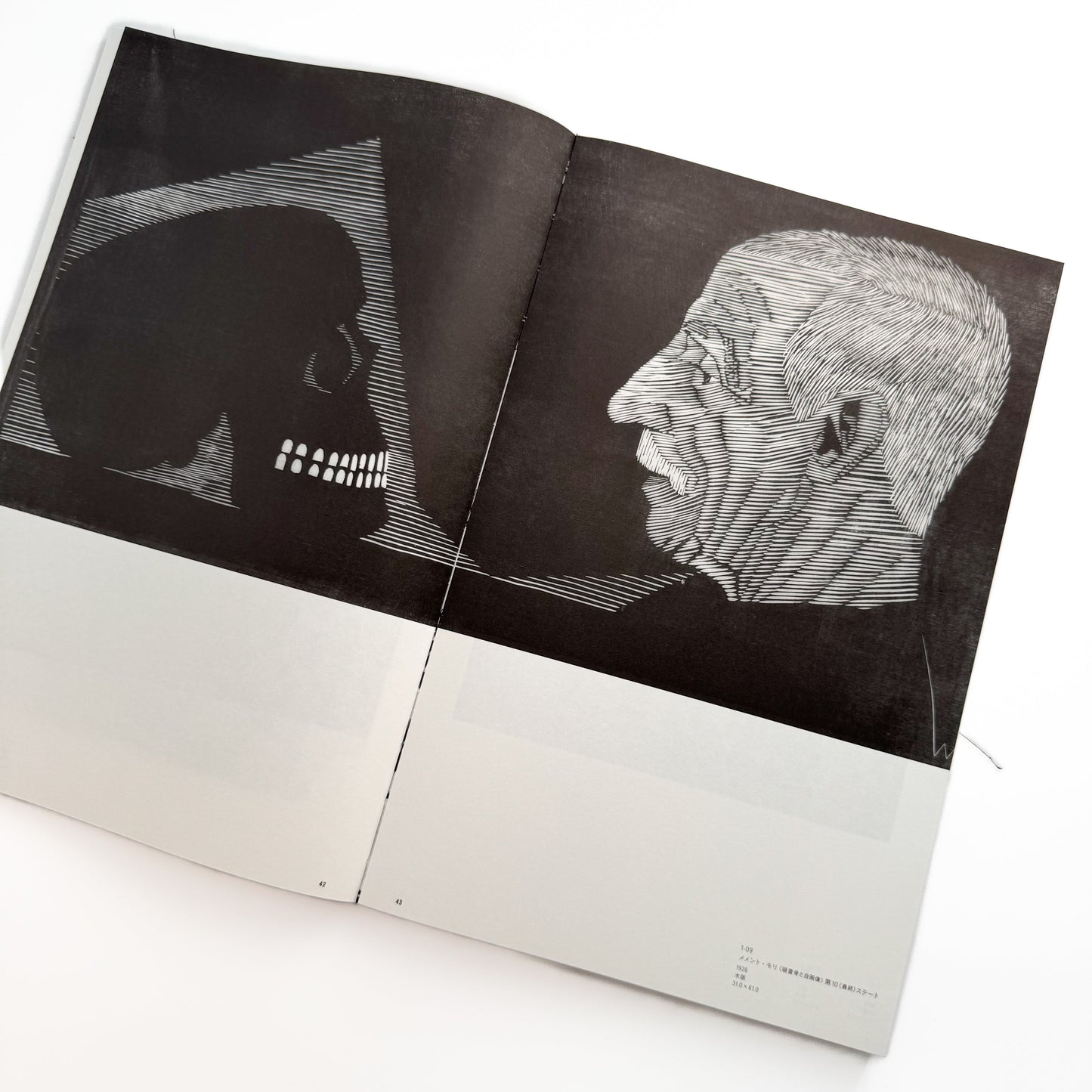 メスキータ展 キュレイターズ