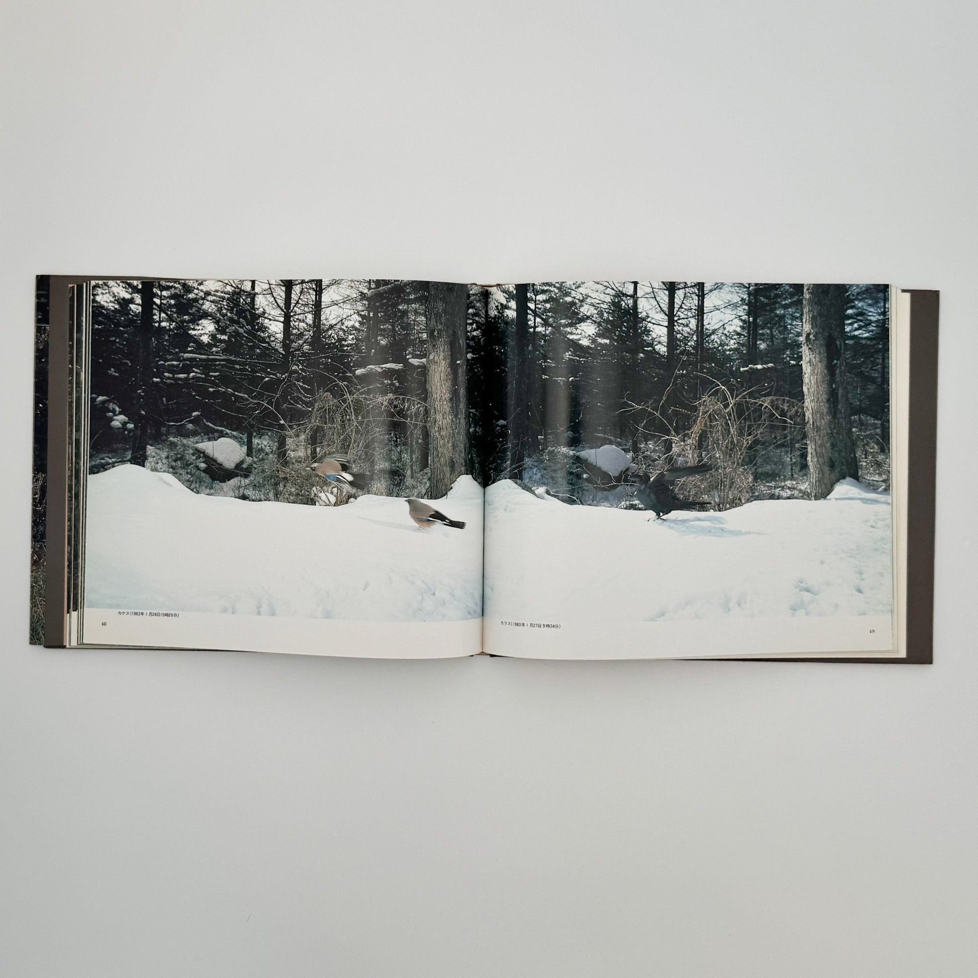 宮崎学　けもの道の四季 - 平凡社 - 文福