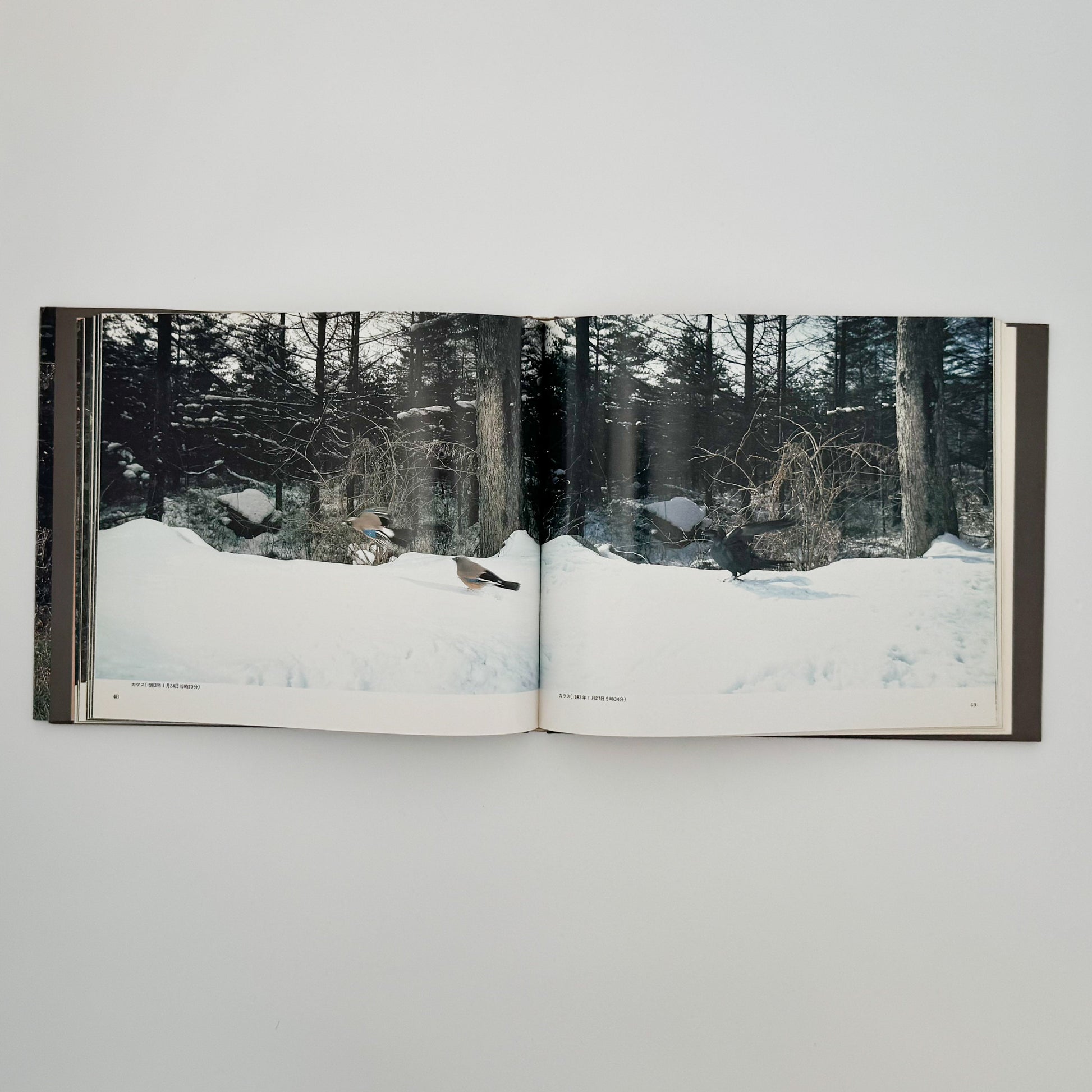 宮崎学　けもの道の四季 平凡社