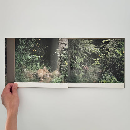 宮崎学　けもの道の四季 - 平凡社 - 文福