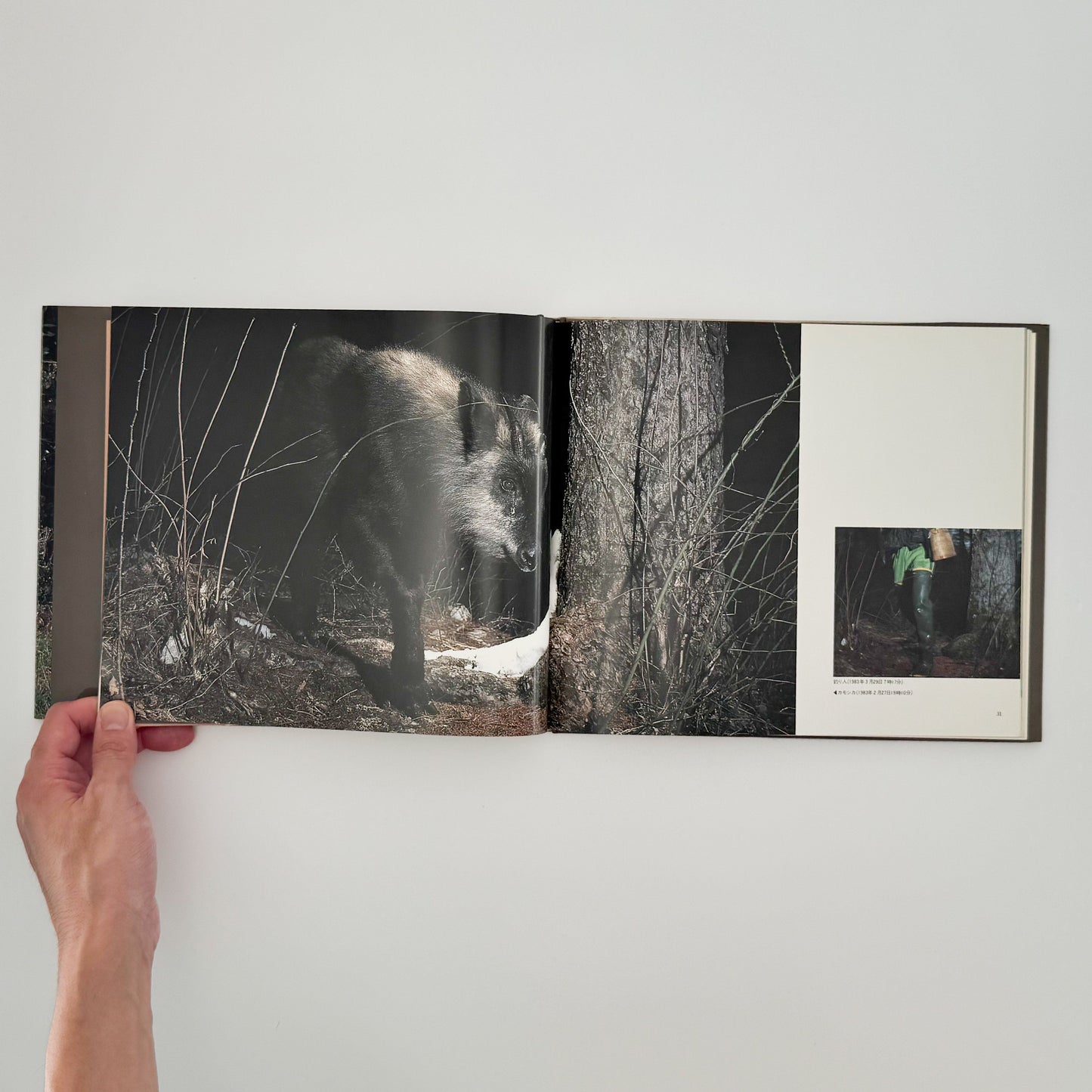 宮崎学　けもの道の四季 平凡社