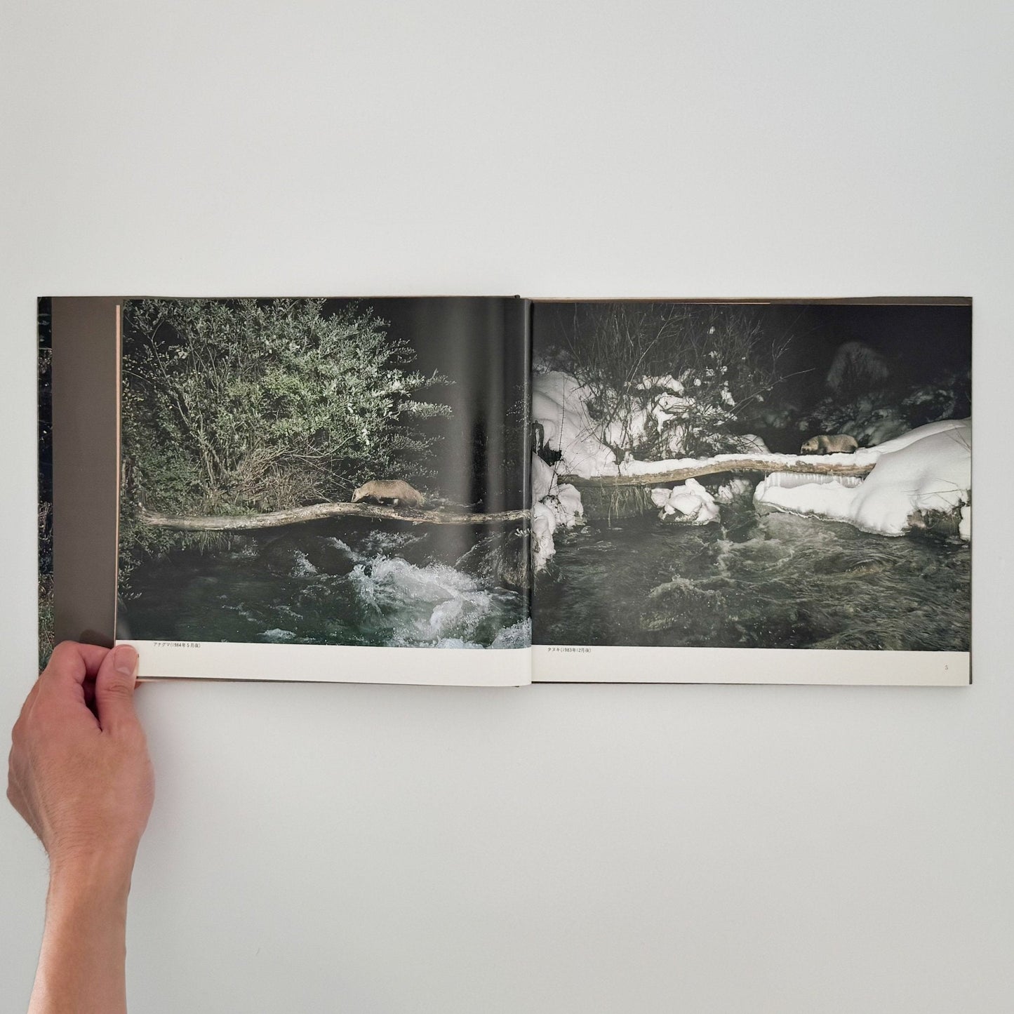 宮崎学　けもの道の四季 - 平凡社 - 文福