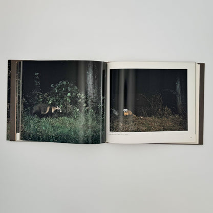 宮崎学　けもの道の四季 - 平凡社 - 文福