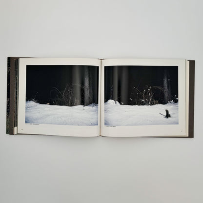 宮崎学　けもの道の四季 平凡社