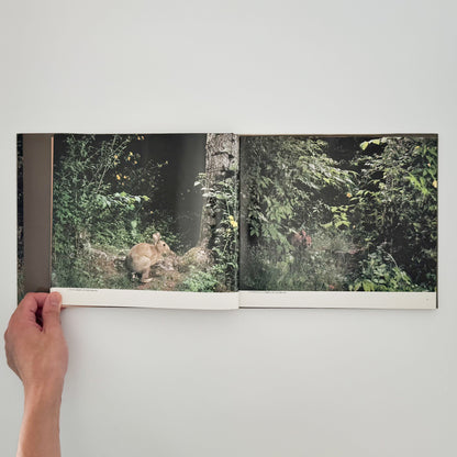 宮崎学　けもの道の四季 平凡社