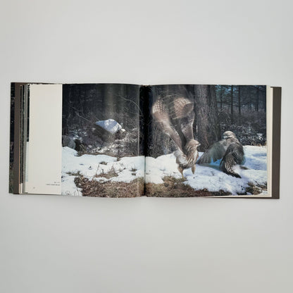 宮崎学　けもの道の四季 平凡社