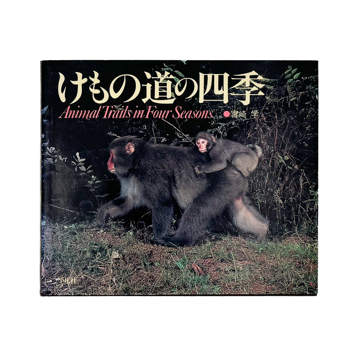 宮崎学　けもの道の四季 平凡社