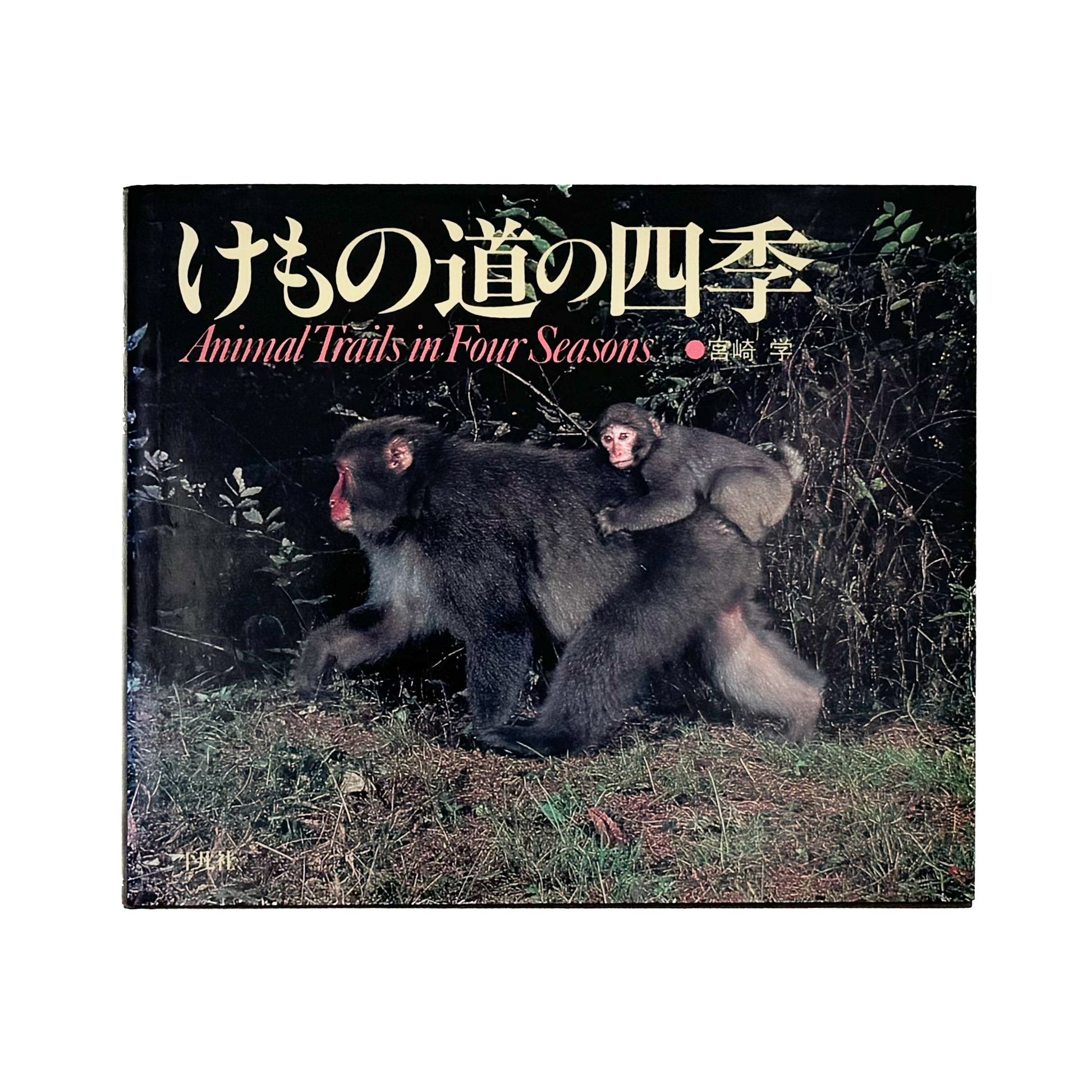 宮崎学　けもの道の四季 平凡社