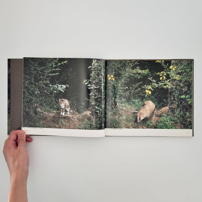 宮崎学　けもの道の四季 平凡社