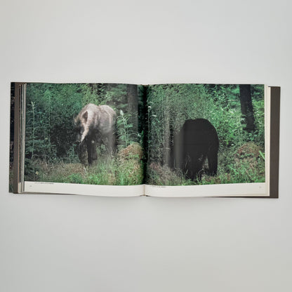 宮崎学　けもの道の四季 平凡社