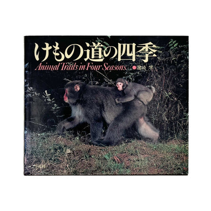 宮崎学　けもの道の四季 - 平凡社 - 文福
