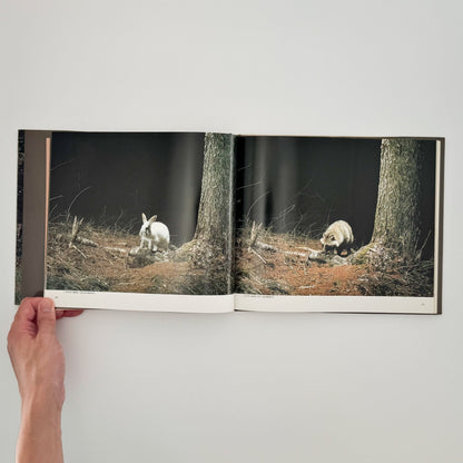 宮崎学　けもの道の四季 - 平凡社 - 文福