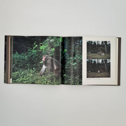 宮崎学　けもの道の四季 平凡社