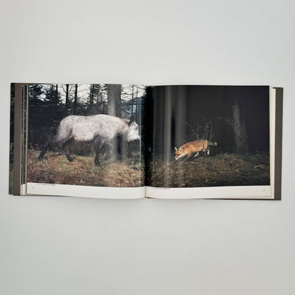 宮崎学　けもの道の四季 - 平凡社 - 文福