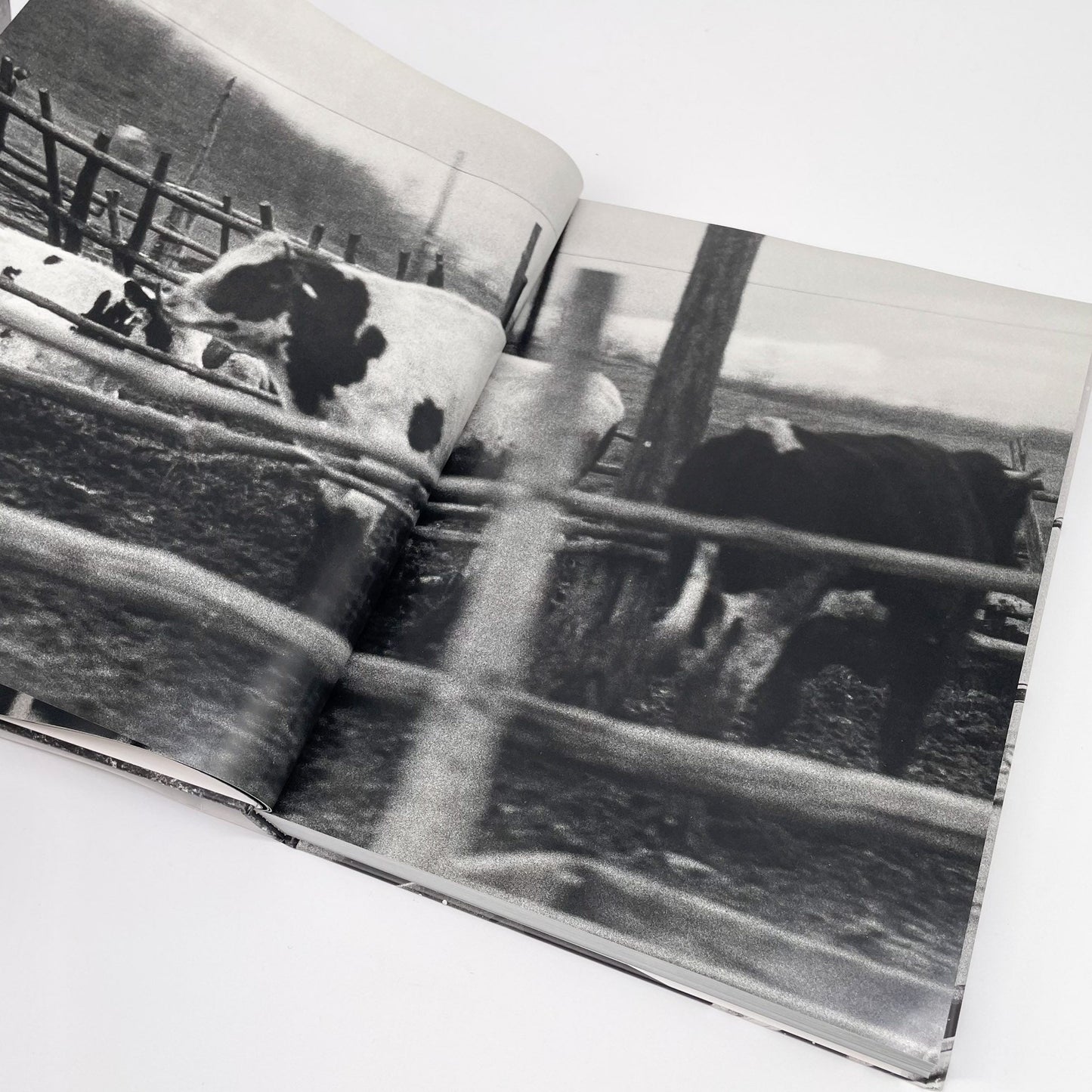 森山大道　北海道 - ラットホールギャラリー - 文福